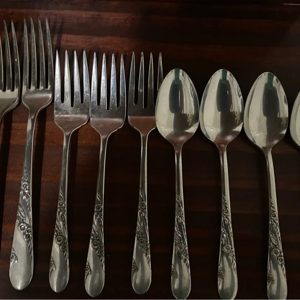 VTG 17 Piece 1950 Oneida Tudor Plate Community Bridal Wreath Floral Pattern